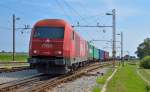 BB/RCA 2016 085 Hercules zieht Containerzug durch Pragersko Richtung Hafen Koper.