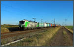 Der Mozart-Vectron 193 204 der SETG rollt mit einem Containerzug nahe Braschwitz Richtung Halle.