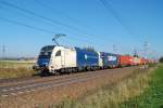 1216 950 in Diensten der WLB ist am 10.10.2010 mit einem  Containerzug bei Marchtrenk zu sehen gewesen.