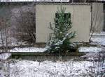  verfallene Waggonwaage am Bahnhof Bad D�ben, wenigstens die Natur ...