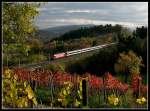 Herbst am B�zberg II.
Re460 ...  Erich Gillard 02.08.2010