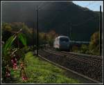 Ein Bild von Heute.
ICE ...  Erich Gillard 06.10.2010