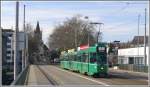 strasenbahn-basel-bvb-blt Be 4/4 499 beim Basler Zolli. (01.03.2010)