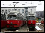 strasenbahn-wien Und nochmal ein Blick auf 2 Fahrzeuge in der Freilichtabstellanlage in Favoriten. Hier stand ehemals eine Halle die nach dem Krieg nie wieder aufgebaut worden ist. Aufgenommen am 14.02.10.