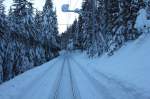 Blick auf den tief verschneiten Wald zwischen Arosa und Litzir�ti ...