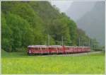 R1660 zwischen Campascio und Brusio kurz vor dem Kehrviadukt. ABe ...