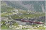 strecke-berninabahn-sm-ti R1640 mit Triebwagen 43 und 49 zwischen Alp Gr�m und Ospizio Bernina. (14.07.2010)