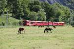 Strecke Pr�ttigau Lq-Da (593 Photos)