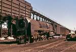 Ein Gigant auf (Kapspur-)Schienen: Eine Kondenslok der SAR-Reihe 25 im November 1976 im Depot Beaconsfield/Kimberley.