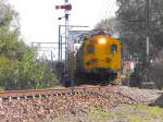 Ein Metro-Train des S-Bahnnetzes Kapstadt donnert in Richtung Somerset West ueber die Faure Bridge, welche den Eersteriver ueberspannt.