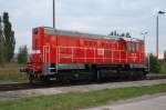 T448p (33 Fotos)