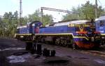 TEM2-6978  ...  Hansj�rg Brutzer 31.03.2010