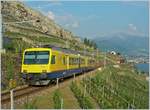 Weshalb der Train des Vignes Rebbergzug heisst, zeigt diese Bild ...