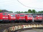 Die Br.151 159-1, 185 071-8, 155 135-7, 189 069-8 und ...