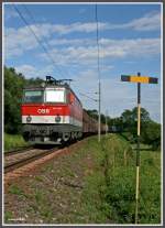 1144 264 mit G�terzug aufgenommen bei Wildon am 12.06.2007  ...