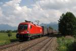 1116 213 mit einem G�terzug vor Prien am Chiemsee (06.06.2007) ...