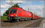 1116 mit G�terzug am 27.06.2007 kurz nach dem Verschiebebahnhof Graz. ...