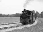 Ein bild einer 750 mm Schmalspur Lok in der Prignitz ...