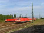 Die 143 175 und ...  Karolin Siebert 16.07.2007