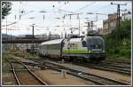 Ein seltener Gast auf ...  Ren� P. 18.07.2007