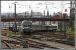 Ein seltener Gast auf ...  Ren� P. 18.07.2007