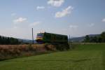 Waldbahn Waldbahn aufgenommen an der Haltestelle B�hmhof am 20.07.2007.