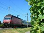 re-460-lokportraits Re 460 059-9 mit IC nach Luzern bei Allaman. 
25. Juli 2007
