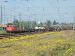 BR 140 mit Z�gen Bei bestem Wetter f�hrt eine 140 am 29.4.07 ,in Richtung Dessau, durch den Bahnhof von Wittenberg.