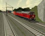 ProTrain 18 (ABS Berlin - Hamburg) 232er mit Containerzug