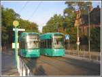 Der 1. Zug der ...  Helmut Amann 06.08.2007