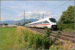 Mit offnem Maul zum Bodensee ist der 411 013 HANSESTADT ...