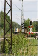 Zwischen zwei Masten wurde die 182 513 mit einem Kombizug ...