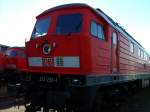 Ein Blick in die ...  Stephan M�ckel 26.08.2007