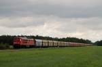 233 118 mit CS 47442 bei Uhyst (25.07.2007)  ...