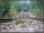 sonstiges Da f�hrt der Zug dar�ber ;-)
Zeltweg 28.08.2007