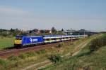 146 521 mit dem Interconnex X 80002 bei Zschortau (04.08.2007) ...