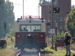 Ameisenb�r in Aktion; Darmstadt-Kranichstein, 16.09.2007   ...