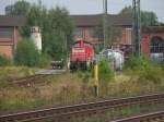 296 023-5 und 203 ...  Steffen 19.09.2007