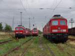 BR232 494-5 im Betriebshof Rostock-Seehafen(15.07.04)   ...