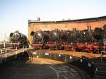 Kleine Parade in der Abendsonne v.l.n.r.41 1144-9,44 1338,43 001,58 261,38 ...