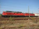 233 462-1 und 189 009-4 vor einem Containerzug in Pirna.Sch�n ...