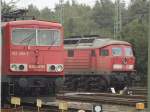 155 260 232 131 ...  Peer Spille 23.09.2007