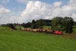 294 767 mit FZ 56429 in G�rwangs (13.08.2007)  ...