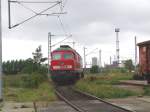 Die 233 326-8 kurz ...  Stefan Pavel 17.07.2004