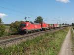 BR 182 005 am ...  Alexander  30.09.2007