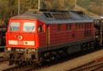 BR 233 233 176 mit einem G�terzug am Abend des 16.10.07 Im Leerlauf hat sie z.Z. ein merkw�rdiges Auspuffger�usch. Aufnahme am Skandi-Kai. Auch: www.artsbilder.de
