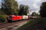 1116 258 mit einem G�terzug vor Gro�karolinenfeld (19.09.2007)  ...
