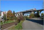 F�r einmal hat die Bise den sonst im Herbst am ...