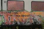 ET 403 004 Neustrelitz ...  Matthias Ruschel 09.11.2007