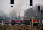 br-2043 '2043-POWER' 025-2 verl�sst qualmend und mit dem typischen Maschinenger�usch den Bhf. RIED i.I. Richtung Wels, 032-8 auf Gleis 3 wird sich in wenigen Sekunden ebenfalls mit einer Rauchfahne  vom Bhf. verabschieden , Nr.022-9 hingegen hat ihre Arbeit mit dem schweren R�benzug hinter sich und wartet auf weitere Verschubt�tigkeiten; 071123